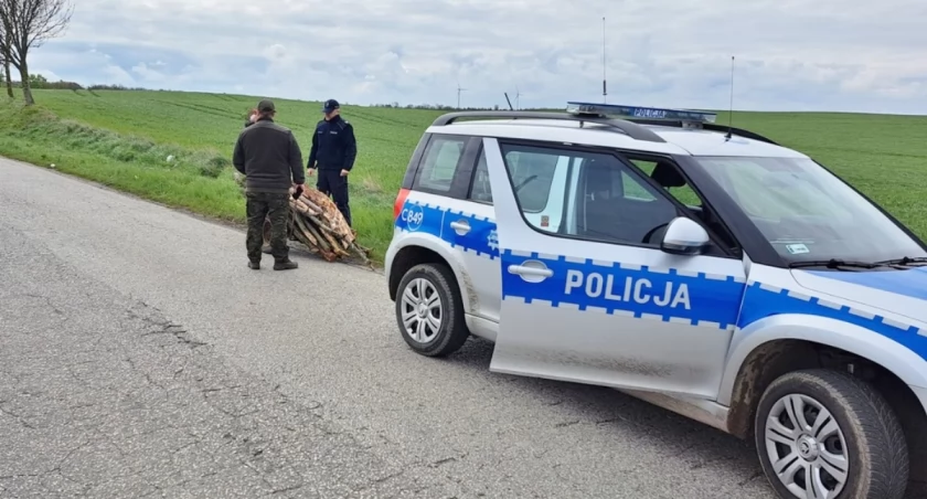 Przewoził wózkiem skradzione drewno