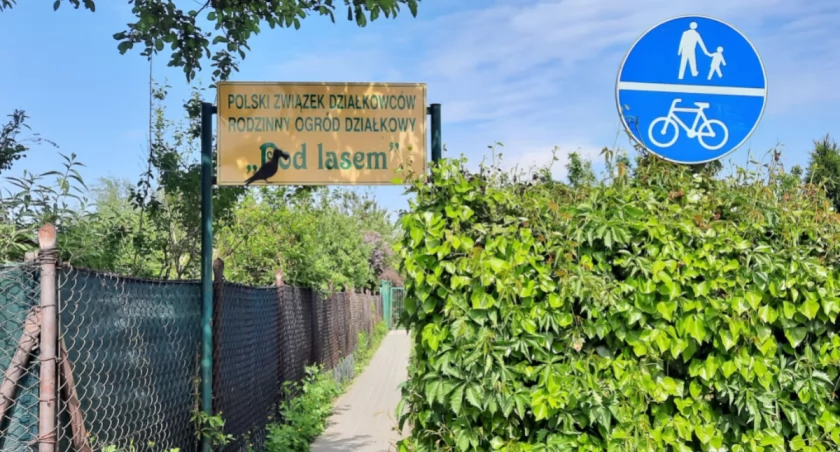 Włamanie do 18 altan. Sprawca odcinał przewody od czajników, kradł przedłużacze i kable
