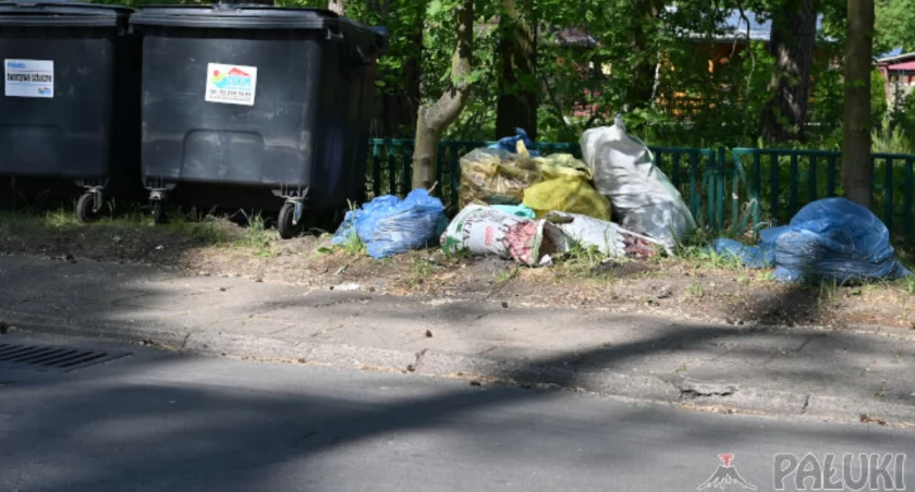 Poważnie podejść do sprzątania na terenie ośrodka w Przyjezierzu
