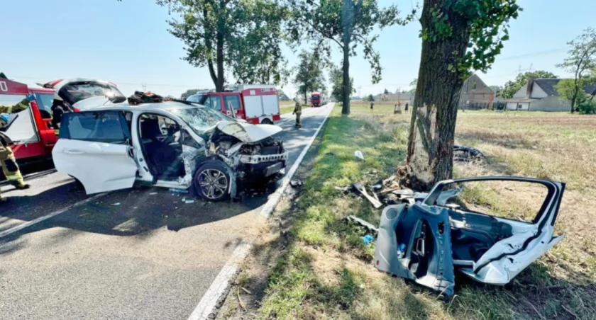 W Berlinku auto uderzyło w drzewo. Pasażer złamał nogę