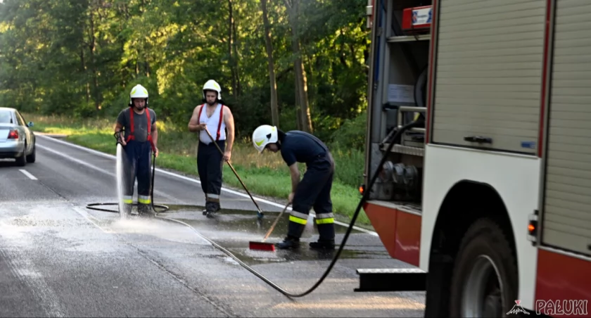 Usuwali nieczystości na drodze między Strzelnem a Markowicami