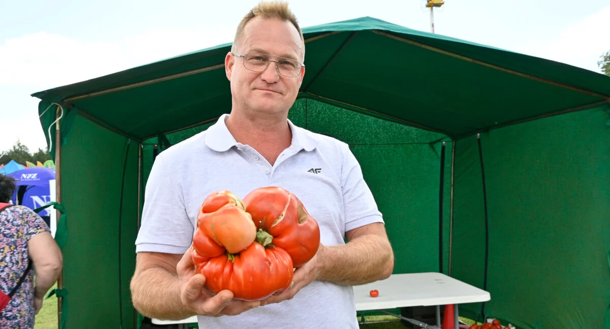 Tomasz Studziński pobił rekord na największego pomidora