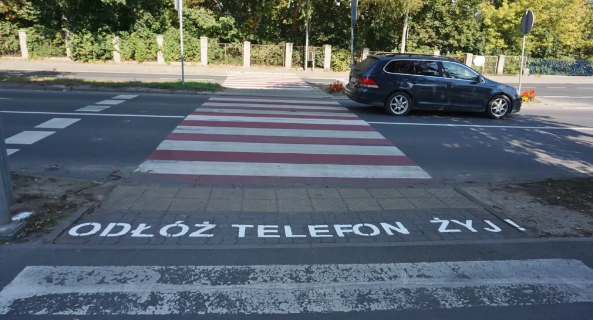Odłóż telefon żyj! - Akcja informacyjna przy przejściach dla pieszych w Mogilnie