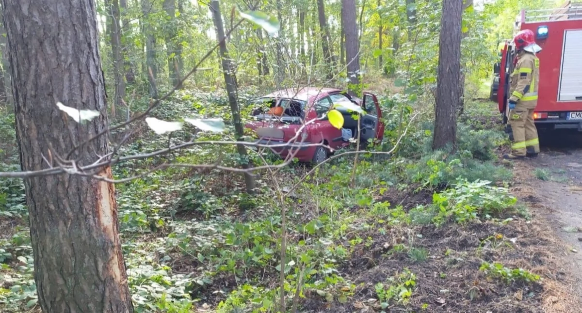 Samochód wylądował w lesie - mężczyzna zbiegł z miejsca kolizji