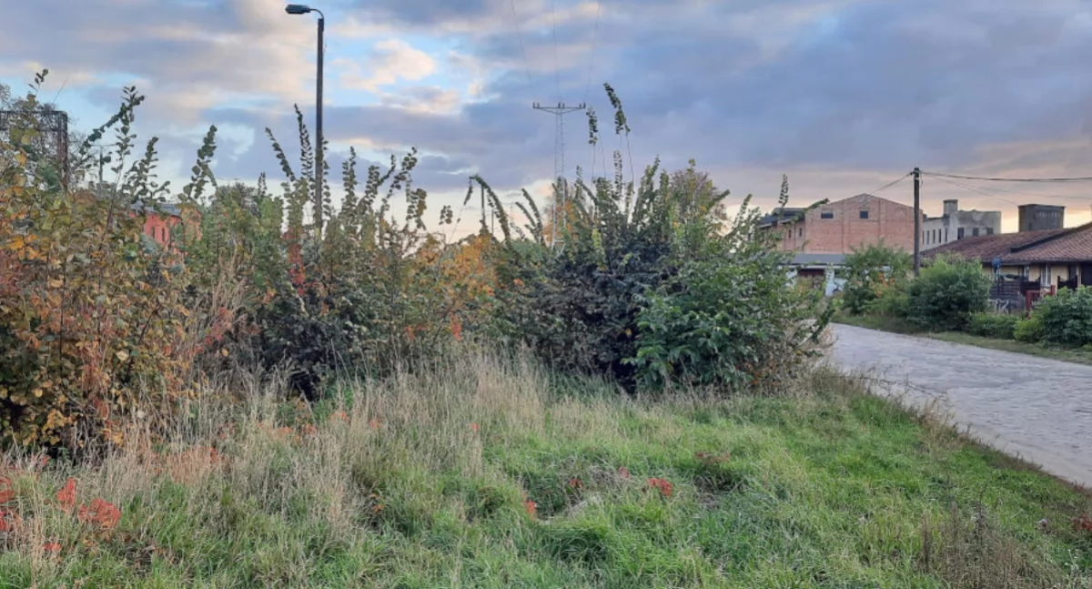 Magazyn Zbożowy wizytówką miasta, a na ulicy Magazynowej dantejskie ciemności, brak parkingów i można połamać nogi