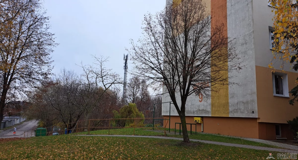 Mieszkańcy bloków na Sójczym Wzgórzu protestują przeciw lokalizacji parku dla psów