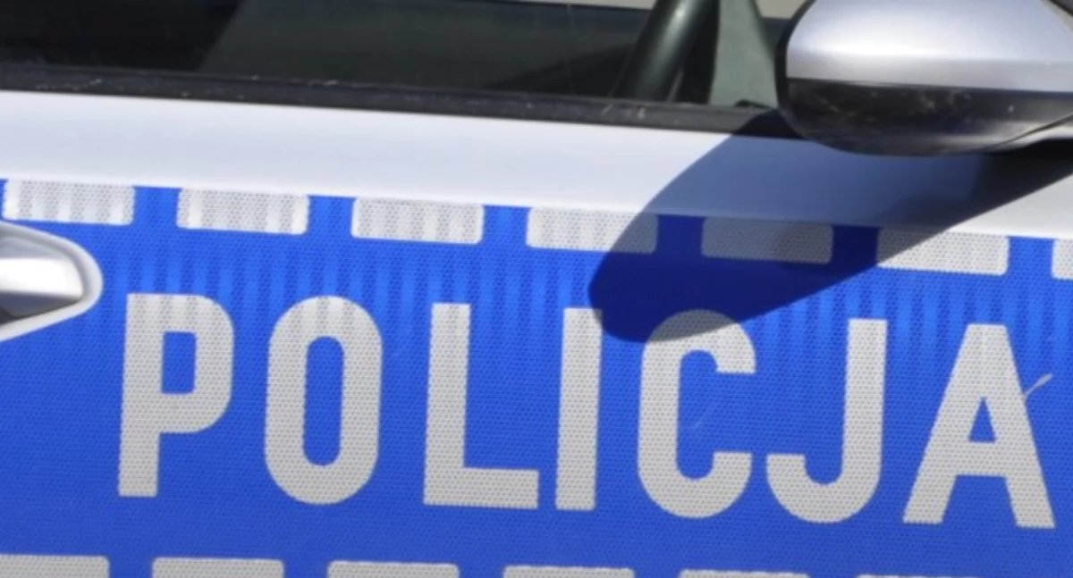 W drodze do Holandii ukradła na stacji paliw telefon i dowód osobisty