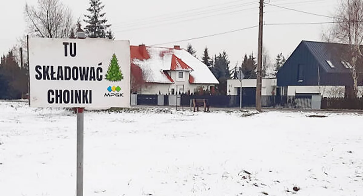 Ściągać bombki i łańcuchy, w gminie Mogilno akcja odbioru choinek