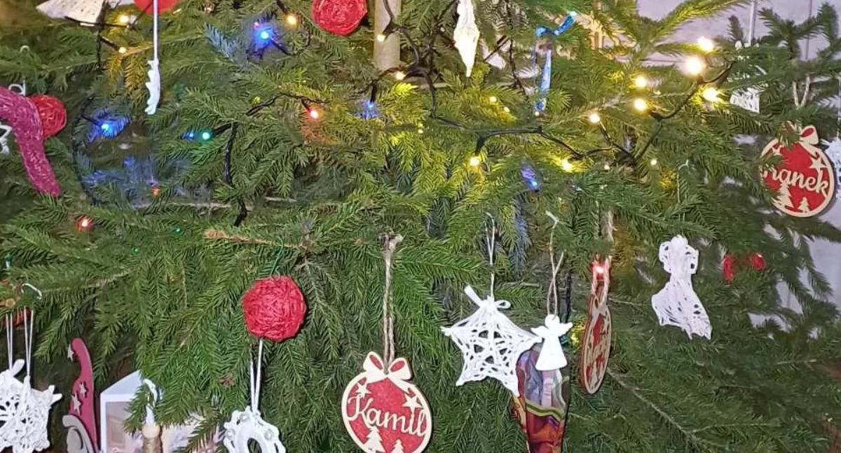 Trzemeszno: odbiór choinek w trzech terminach