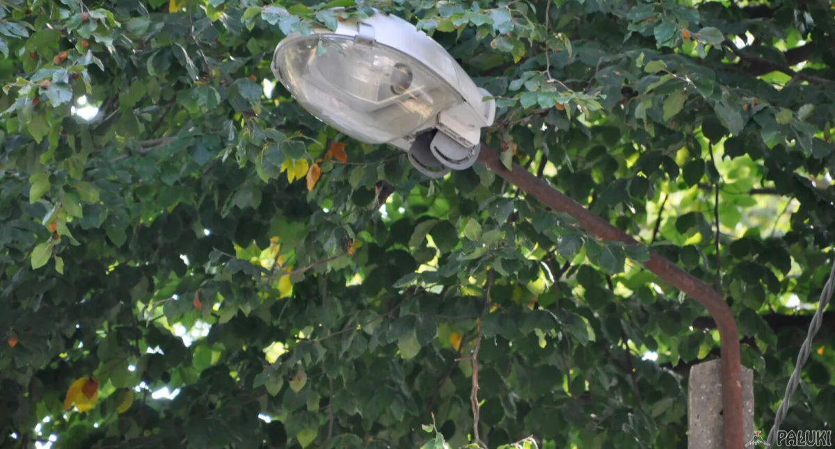 Na terenie gminy Jeziora Wielkie wymienią 574 oprawy lamp ulicznych