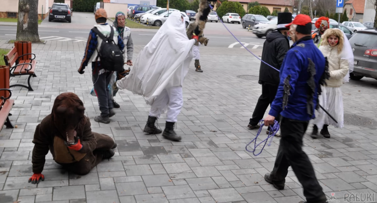 Zapustne Kozy z Cienciska i Bożejewic odwiedzą mieszkańców