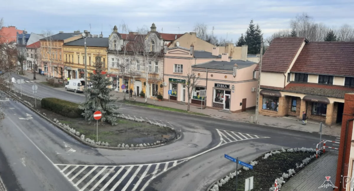 Jeśli masz w ogrodzie nadmiar roślin wieloletnich, podziel się nimi z miastem. Zbiórka potrwa od 3 do 17 marca