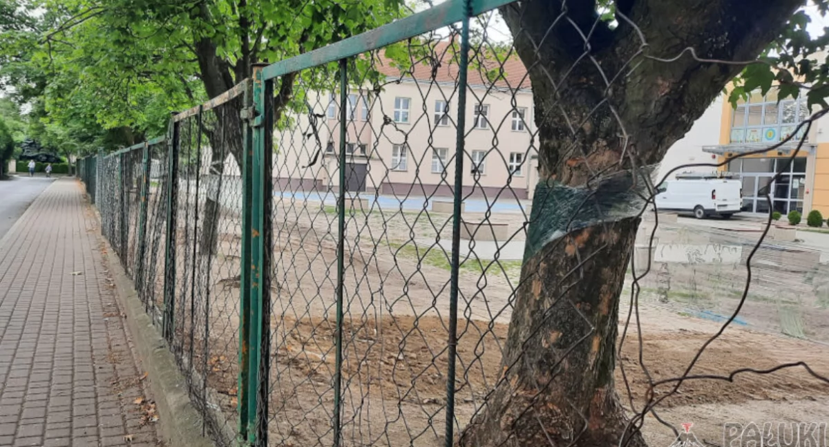 Okres wakacyjny - jakie remonty w szkołach i przedszkolach gminy Mogilno