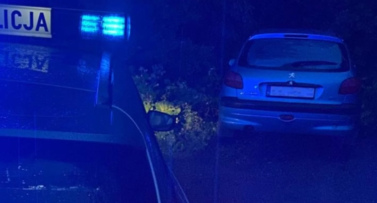 Jeziorki - ucieczka peugeotem 206 przed policją skończyła się w rowie