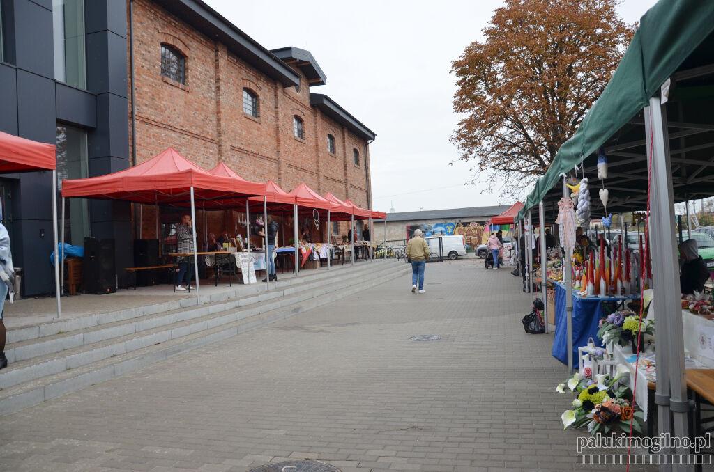 Jesienny kiermasz, jesienna pogoda. 550 drzewek i krzewów rozdanych w mgnieniu oka (zdjęcia)
