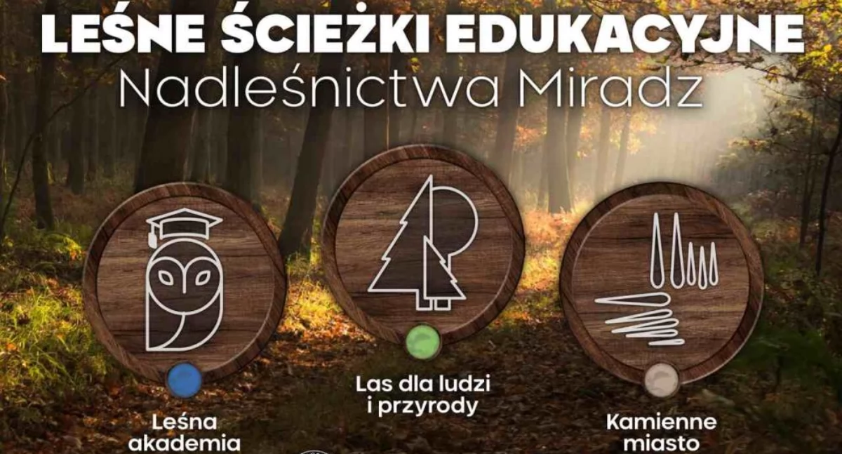 Leśne ścieżki edukacyjne w miradzkich lasach opisane w barwnym folderze