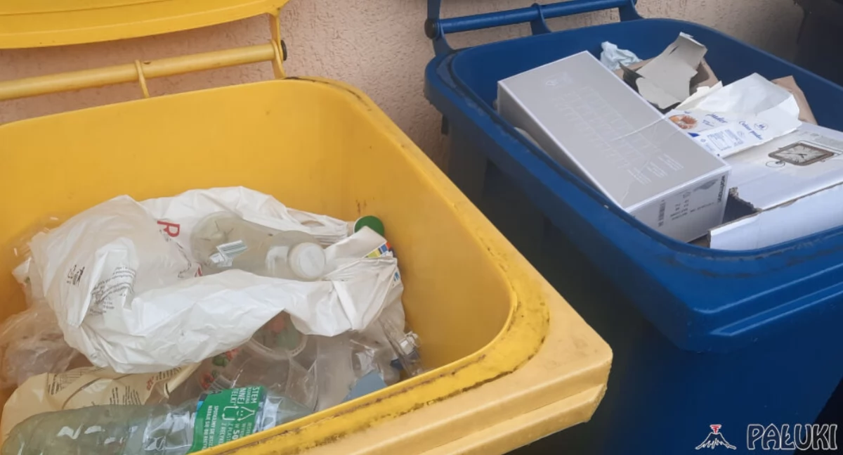 Recykling w gminie Mogilno. Dlaczego od 1 sierpnia będą kontrolować, jak segregujemy odpady?