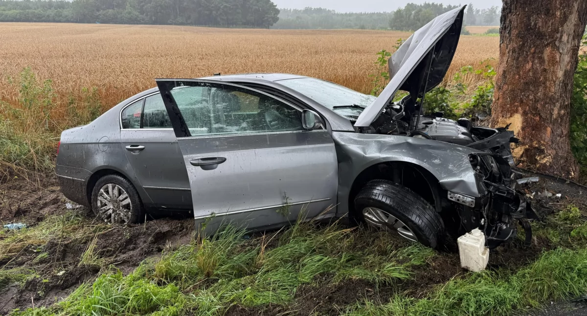 Jazdę przez Ostrowo zakończył na drzewie