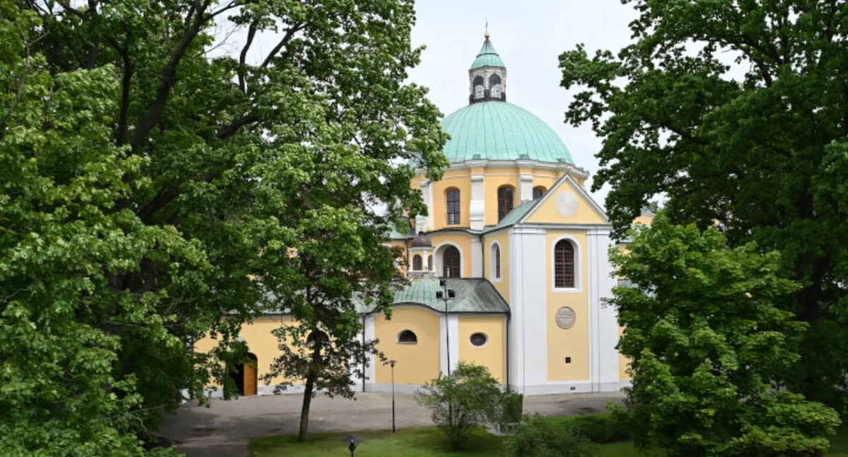 Trzemeszno: usunięte zostaną trzy drzewa, a nasadzonych zostanie 25 nowych 