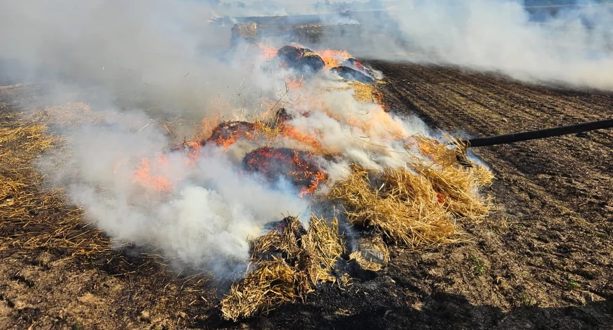 Pożar zboża na pniu w Kamionku