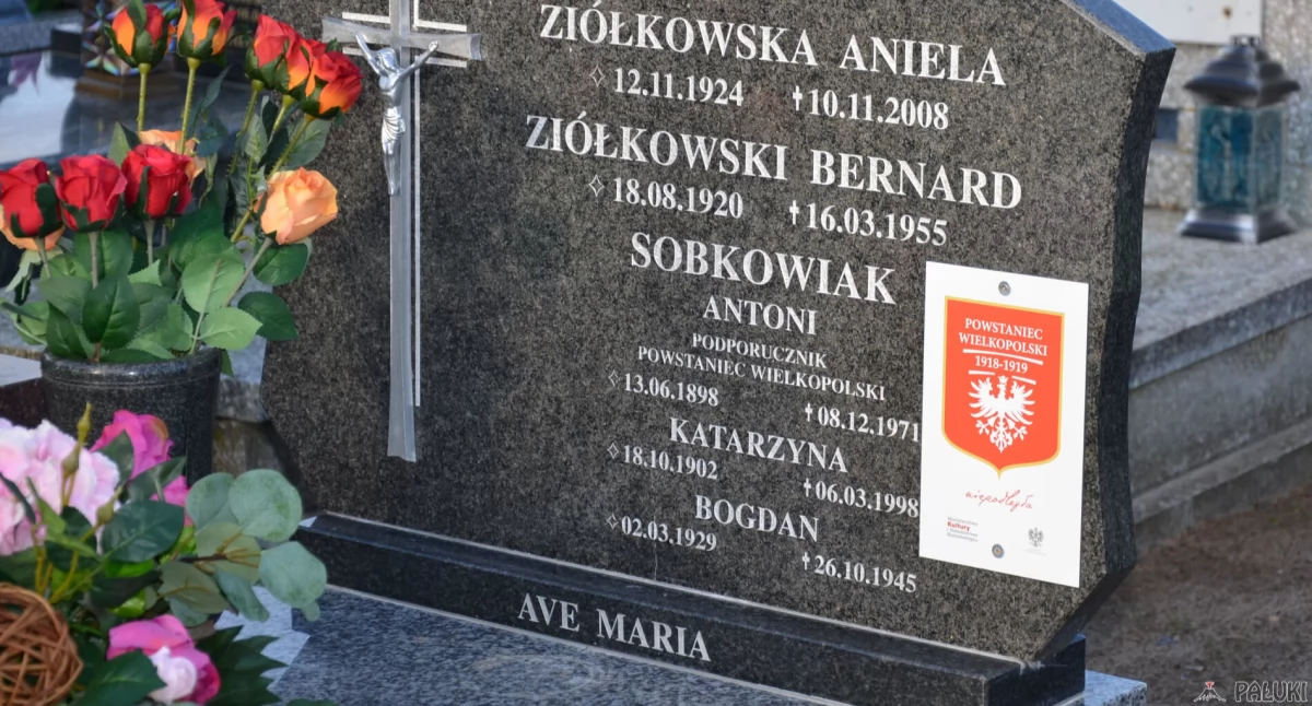 Towarzystwo Miłośników Miasta Strzelna rusza z akcją znakowania grobów powstańców wielkopolskich