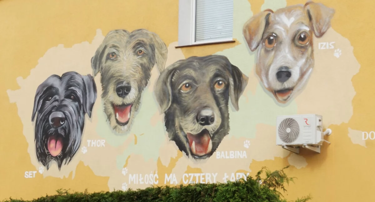 Miłość ma cztery łapy - mural przy ul. Ogrodowej w Mogilnie