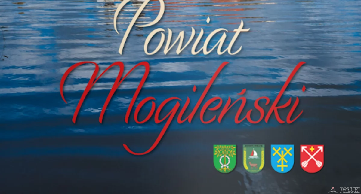 Stypendium Talent otrzymało 170 uzdolnionych uczniów szkół powiatu mogileńskiego