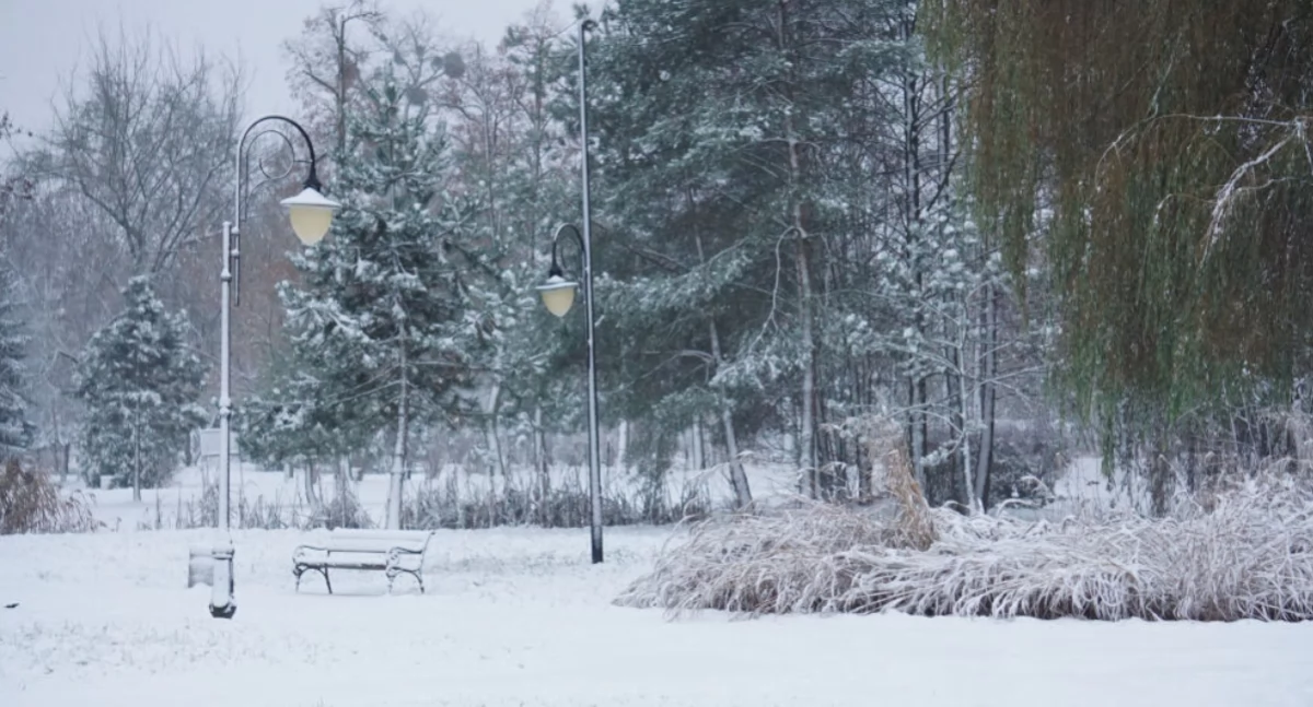 Spadł pierwszy śnieg tej zimy. Park miejski w Mogilnie otulony białą szatą (zdjęcia)