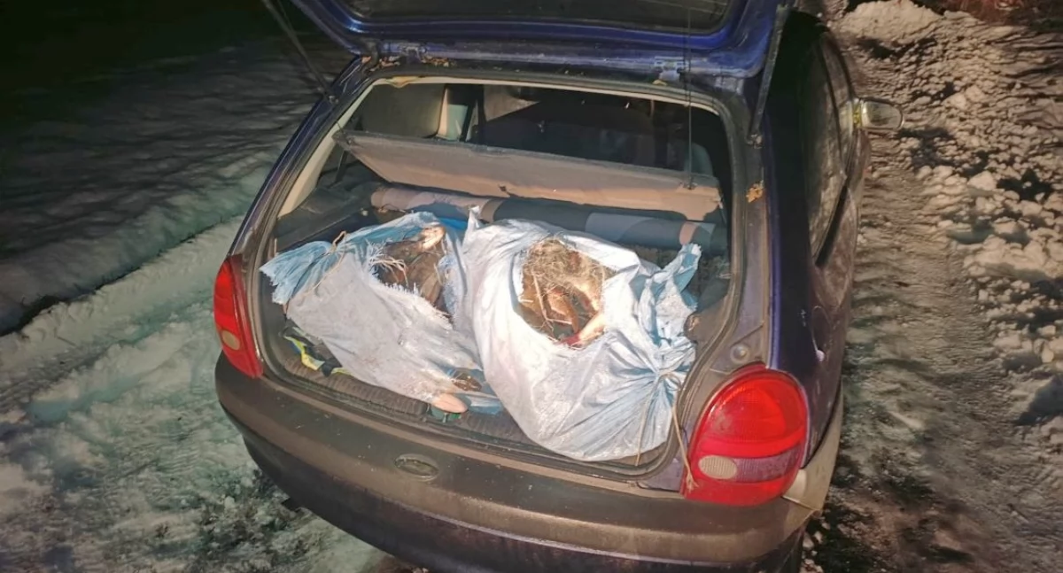 W oplu było około 100 kg ryb, 8 sztuk sieci wonton oraz kamera termowizyjna