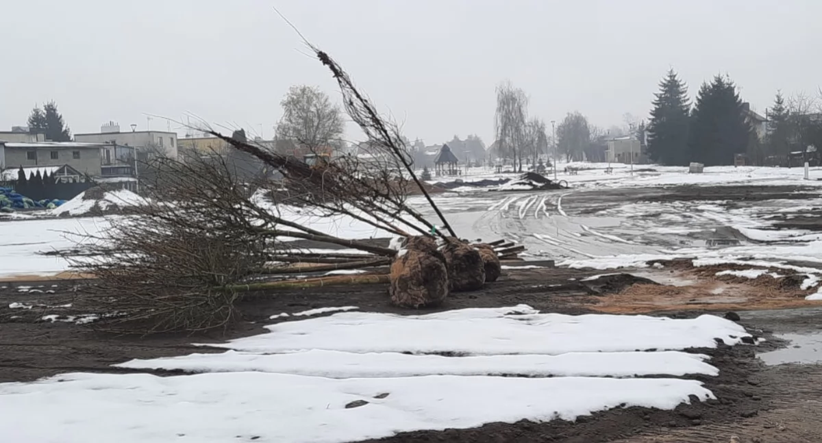 Zakończenie budowy parku w zachodniej części Mogilna przesunięte do 15 grudnia