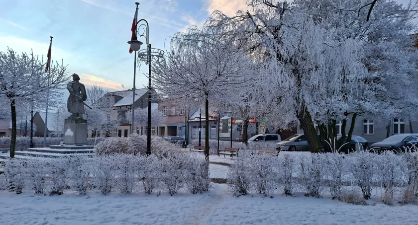 Trzemeszno w zimowej, mroźnej odsłonie (zdjęcia)