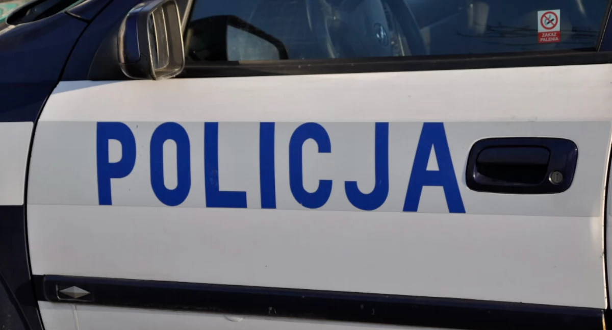 Zatrzymali pasażera pociągu relacji Poznań - Toruń. Był poszukiwany za rozbój
