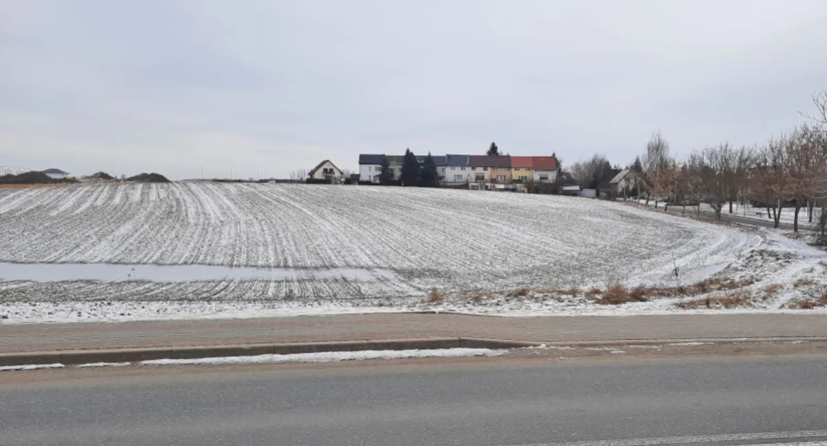Między ul. Powstańców Wlkp., ul. Trzcińskiego i ul. Polną ma powstać galeria handlowa - 2-3 pawilony. Niewykluczone, że to tam znajdzie się Lidl