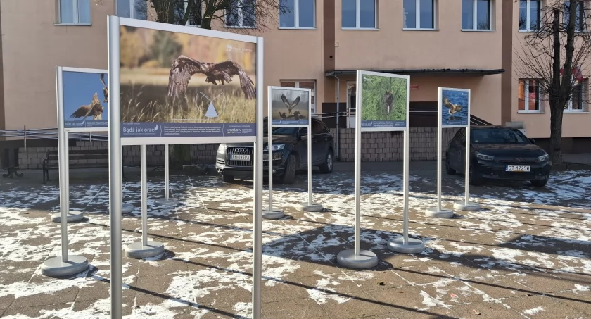 Bądź jak orzeł - plenerowa wystawa w Trzemesznie