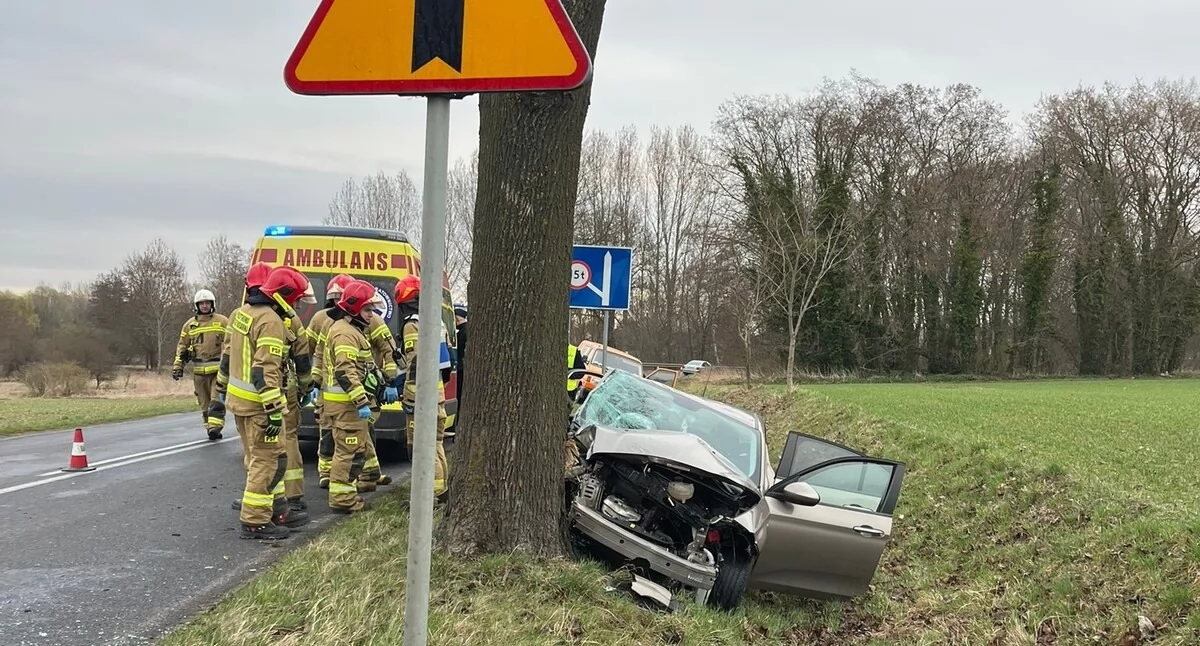 Na drodze powiatowej w Olszy uderzyła fiatem w przydrożne drzewo