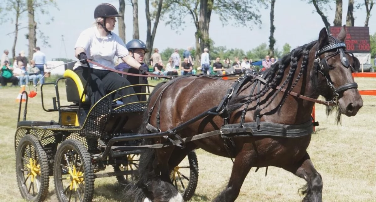 Targi Rolne czyli IV Majówka w Bielicach już dziś, 24 maja (program)