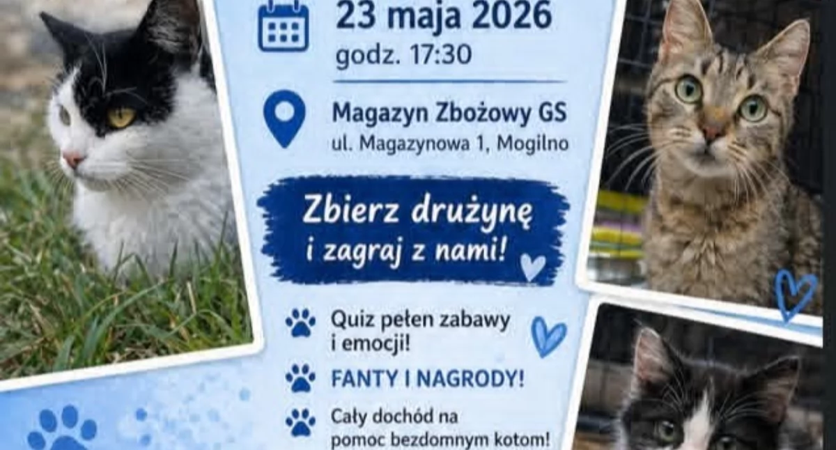 Charytatywny Quiz Wiedzy na pomoc kotom już 23 maja 2026 roku w Mogilnie