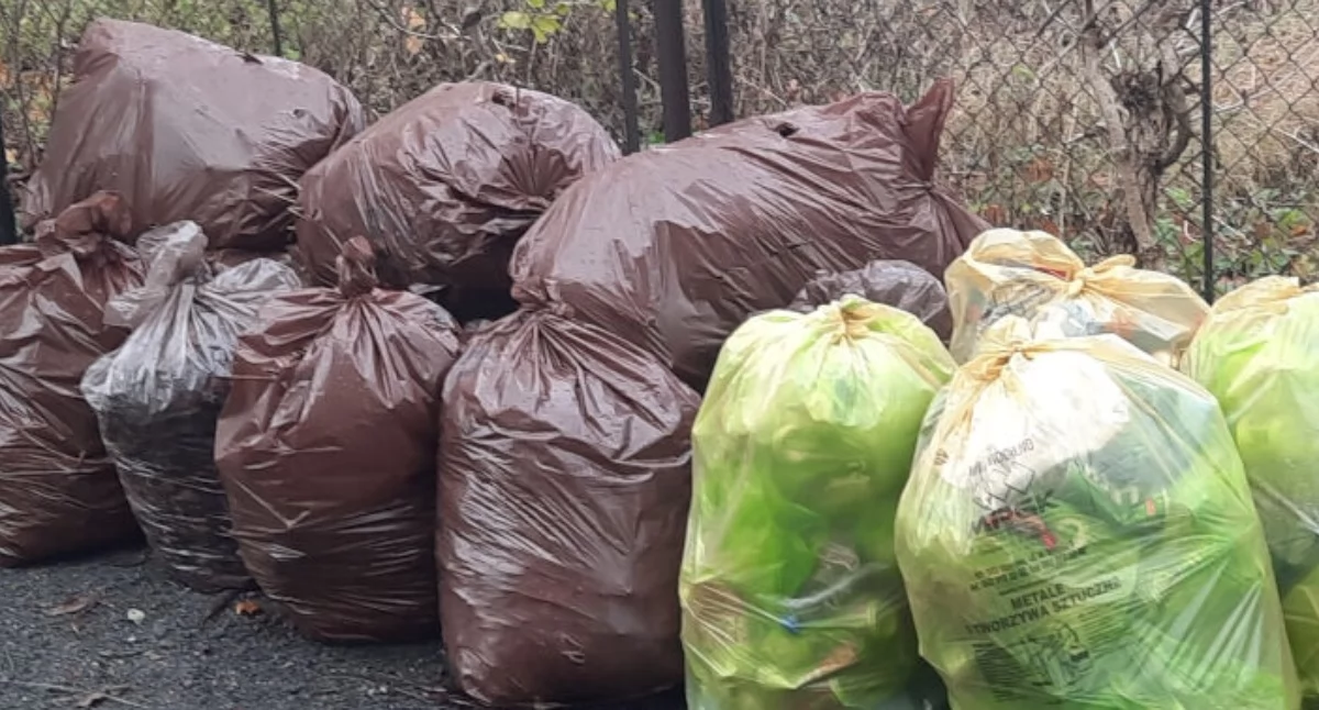 Mogilno dostało 138 582 złotych kary za zbyt niski poziom recyklingu odpadów