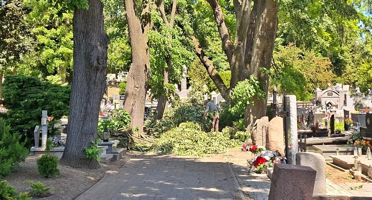 Prace pielęgnacyjne na trzemeszeńskim cmentarzu (zdjęcia)