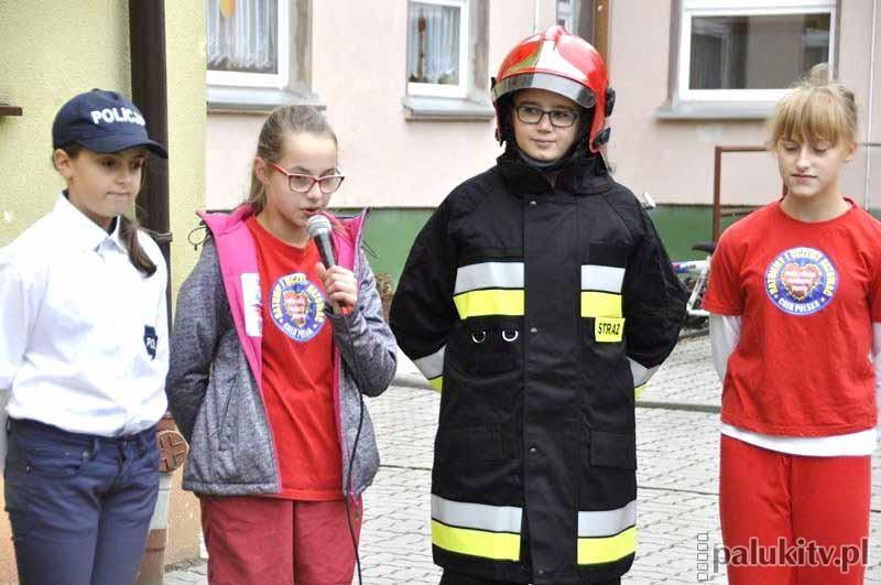 Ostrożnisia w akcji