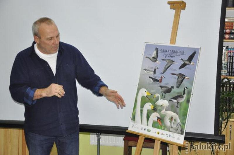 Tam, gdzie żyją dzikie gęsi