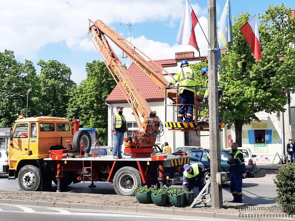 Centrum Mogilna: kolorowo na rabatach i w donicach
