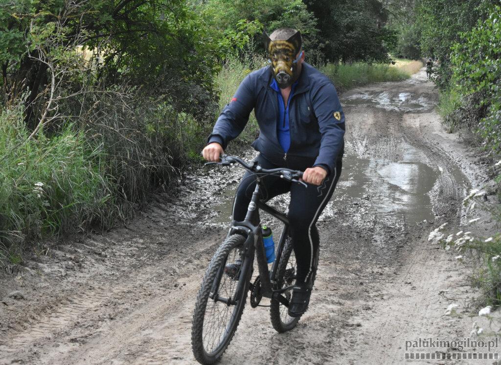 5 km w pogoni za dzikiem