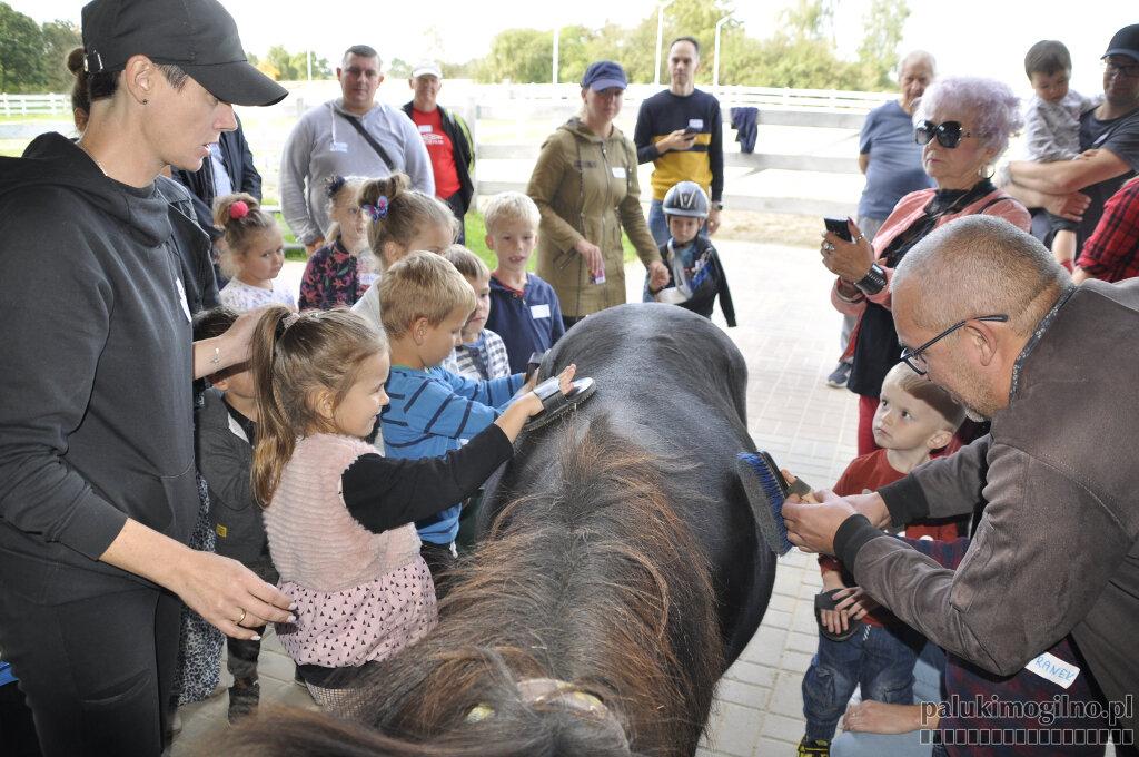 Wybryki kultury w stadninie