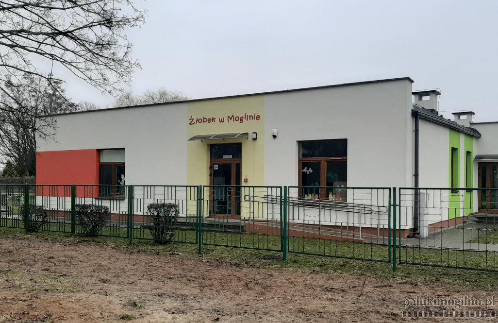 Zawieszenie działalności żłobka, przedszkoli i szkół