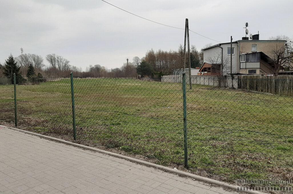 Lidl chce otworzyć sklep w Mogilnie