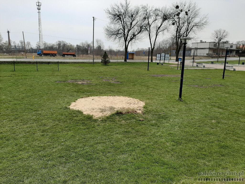 Tropem pytań o place zabaw