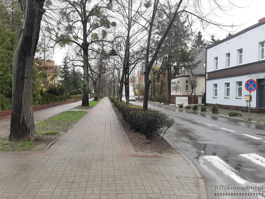 Mogilno: do 1 września powstanie 1 km nowych ścieżek rowerowych