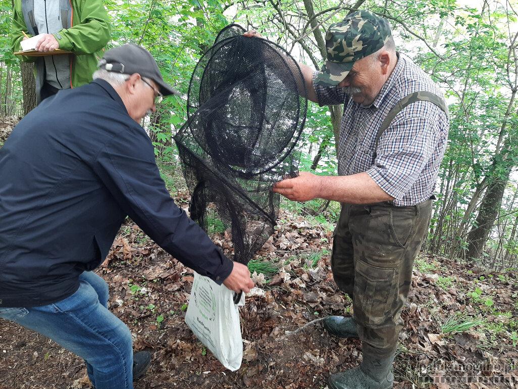 Wędkarze wrócili nad Jezioro Mogileńskie