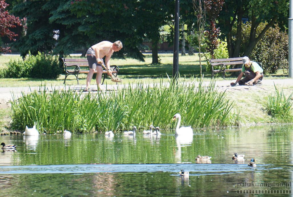 Naprawiają zapadające się alejki parkowe